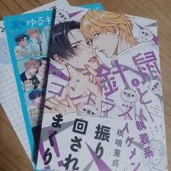 針鼠とコントラスト　②