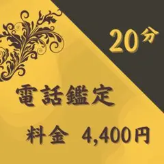 電話占い　20分鑑定　占い・霊視・霊視鑑定・電話鑑定・スピリチュアル