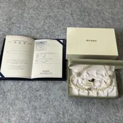 Item thumbnail for item 493dd5d1-2d9e-4e0d-91d9-12ae499ce815