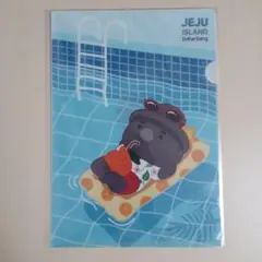 【おまとめ可⑯】クリアファイル　トルハルバン