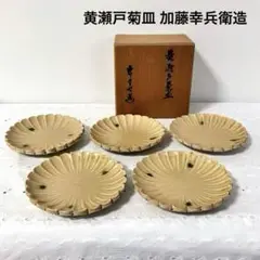 黄瀬戸菊皿 加藤幸兵衛造 黄瀬戸菊皿 加藤幸兵衛造 黄瀬戸菊皿 加藤幸兵衛造