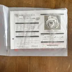 【フェリシモ】ナチュラルコサージュキット