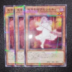 2799 生きる偲びのシルキィ 3枚セット