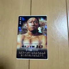 RIZIN ポテトスティック RIZIN.18【No.05】