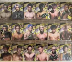 RIZIN 第2弾 ファイターカード(18枚)