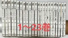 文豪ストレイドッグス 1~23巻 全巻セット