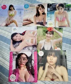DVD グラビア プレイボーイ付録7枚セット 未開封 田中美久 他