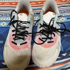 Item thumbnail for item 849b9a8a-5f11-482f-9b05-0919ef72bd6f