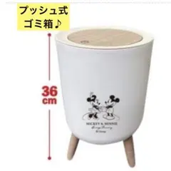ミッキー&ミニー　プッシュ式ダストボックス