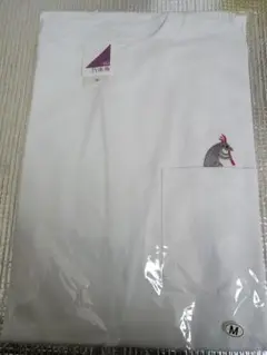 Item thumbnail for item 69c638fa-0a7e-4bcf-a484-0b2c35973d3a