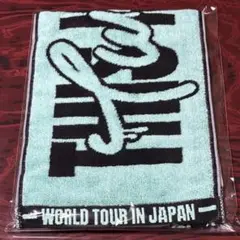 TWICE ミナ マフラータオル 新品未開封 THIS IS FOR グッズ