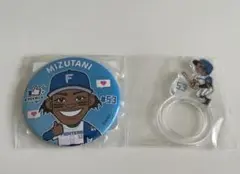 北海道 日本ハム ファイターズ 水谷瞬 セット