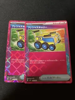プレシャスキャリー 2枚