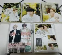 美しい彼 小説 5巻セット
