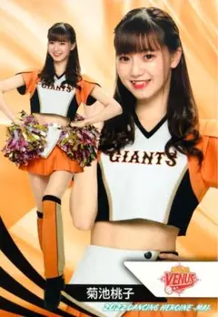 Item thumbnail for item af4be4a5-8474-4665-baed-dd6aaf5bb9db