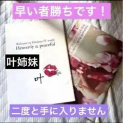 貴重 叶姉妹 冬コミ同人2017年物 ゴージャス Kano sisters 最終