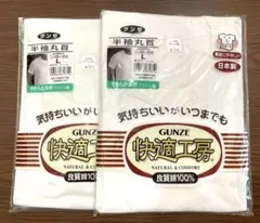 GUNZE 半袖丸首 Ｌサイズ 2枚セット