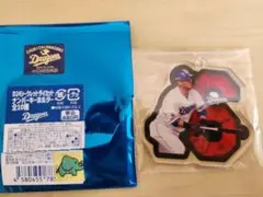 中日ドラゴンズ 中田翔