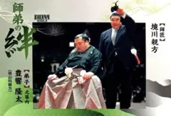 シゲです。豊響 2025年最新】豊響の人気アイテム - メルカリ
