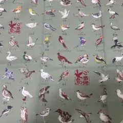 ご当地鳥 図鑑 ブルー 生地 はぎれ ウグイス ホトトギス　コノハズク　ハギレ