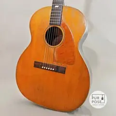 2025年最新】texan epiphoneの人気アイテム - メルカリ
