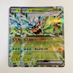【2点目から半額】オーガポン　みどりのめんex