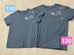 キッズ　tシャツ 110 120 恐竜