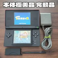 本体極美品 完動品 ニンテンドーDS Lite クリムゾン/ブラック 純正付属品