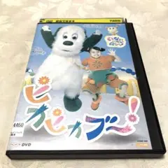 いないいないばあっ！　ピカピカブー！　DVD NHK