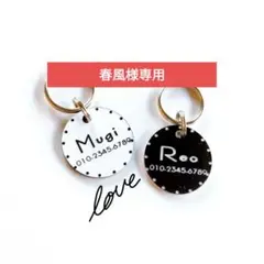 Item thumbnail for item 8f904b1c-e240-458b-ac6f-48447ab65bb6