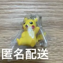 ポケモンスイングコレクション ピカチュウ