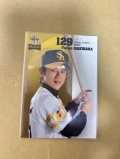 Item thumbnail for item fa142b76-59b7-479f-aa17-86d978336661