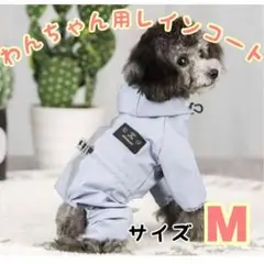 M ãããçšãã¬ã€ã³ã³ãŒããæ°Žè²ãMãµã€ãºããªãŒãéãä»ãçè±ç°¡å214