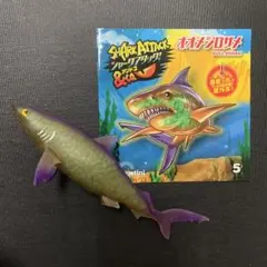オオメジロザメ　ブックレット シャークアタック　&co デアゴスティーニ