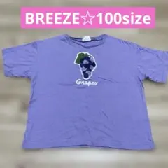 BREEZE ブリーズ 100 女の子 キッズ 半袖 Tシャツ むらさき ぶどう