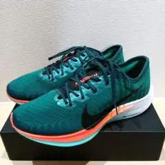 NIKE ナイキ ズーム ペガサス ターボ 2