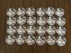 罪木蜜柑 缶バッジ ミックスガーデン 24個セット
