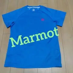 Marmot 青色 半袖Tシャツ ピンクロゴ