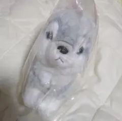 サンレモン ぬいぐるみ フラッフィーズ S オオカミ BL fluffies ①