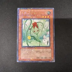 ナチュラル・ローズウィップ　遊戯王