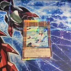 エフェクトヴェーラー 25th 絵違い 特価