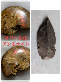 Item thumbnail for item 9e7d2dcc-d5dd-4007-9526-3d13979517ea