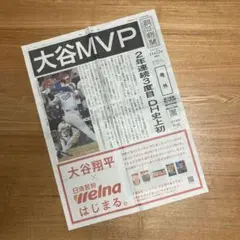 朝日新聞号外　2024.11.22
