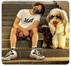 レア キムタク着用 NIKE AIR MAX 95 ES 24