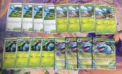 メガフシギバナ ex 進化ライン　活力の森　各4枚