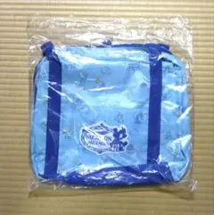 ディズニー　バケーションパッケージ　オリジナルグッズ　コンパクトバッグ