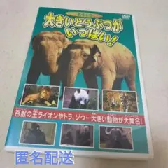 わくわくどうぶつDVD　大きいどうぶつがいっぱい!
