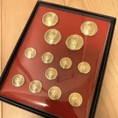 ボーイスカウト　金ボタンセット
