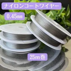 Item thumbnail for item f02d0a6e-5e87-4ce8-b680-5818a5f1ed88