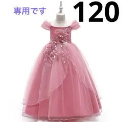 にゃ〜す様　専用です　120サイズ